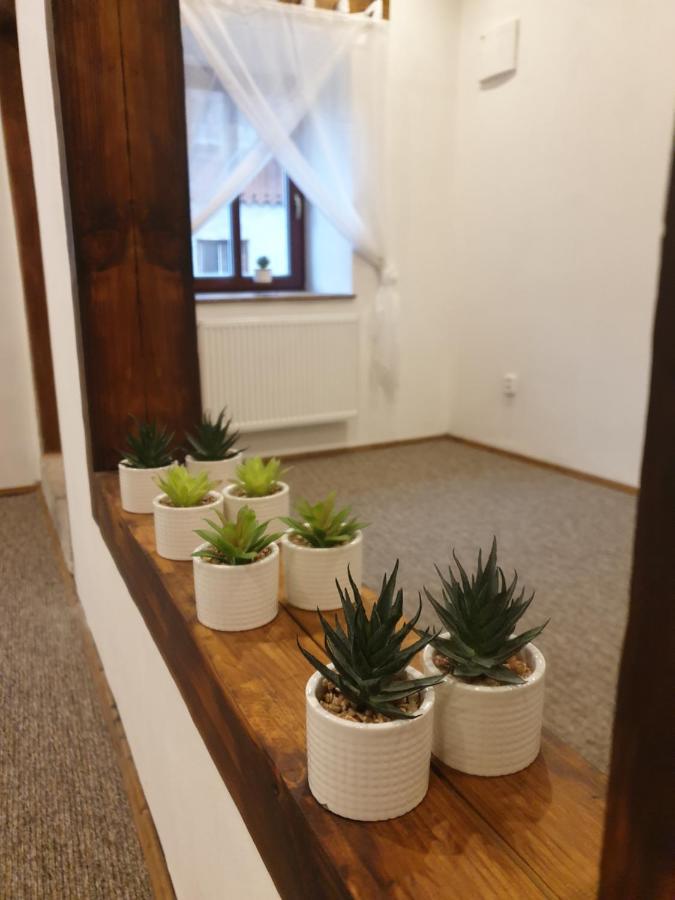 Ferienwohnung U Mikesu Vyšší Brod Exterior foto